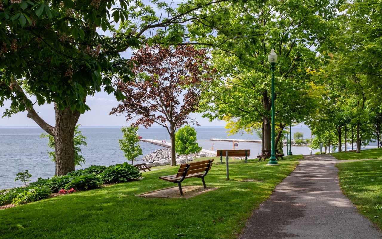 A park with benches and trees next to a body of water.