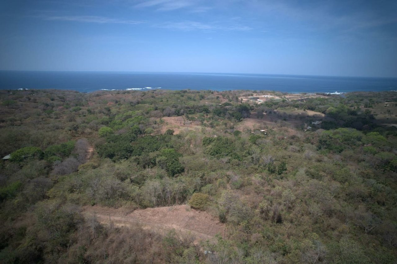 Commercial Ocean View Acreage, Nosara, Guanacaste
