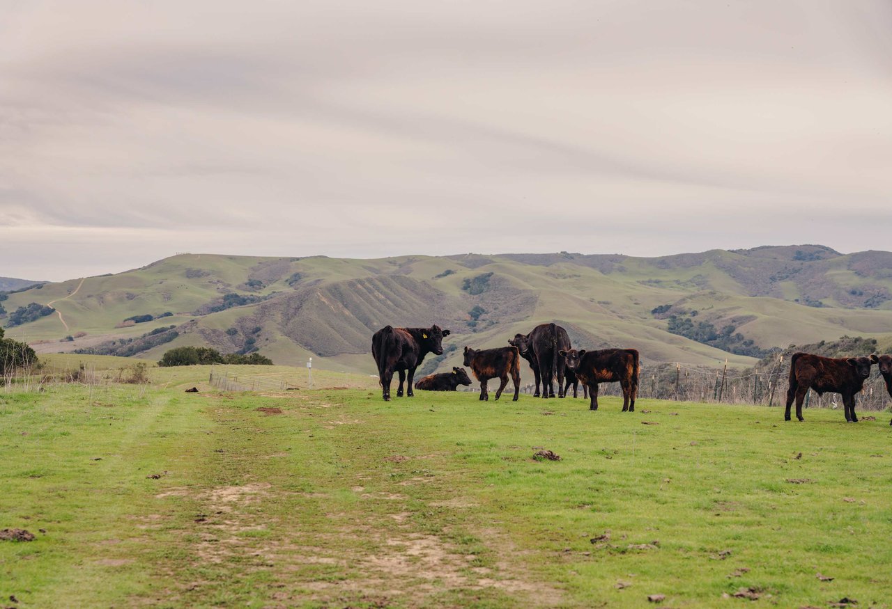 La Hoya Creek Ranch