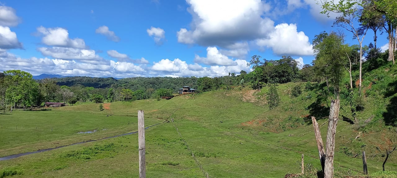 Osa Peninsula Magic 