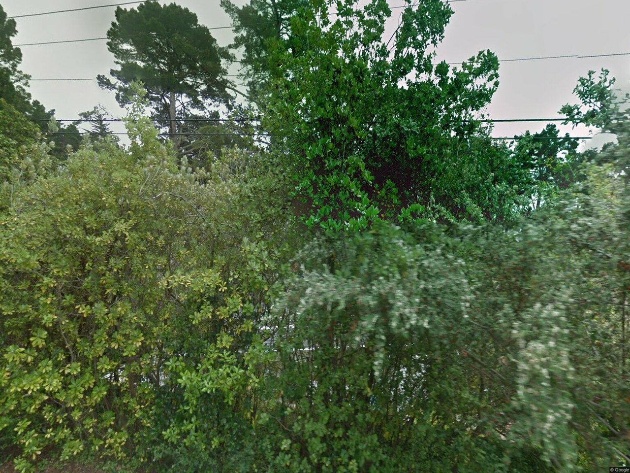 32789 Camino Del Monte St