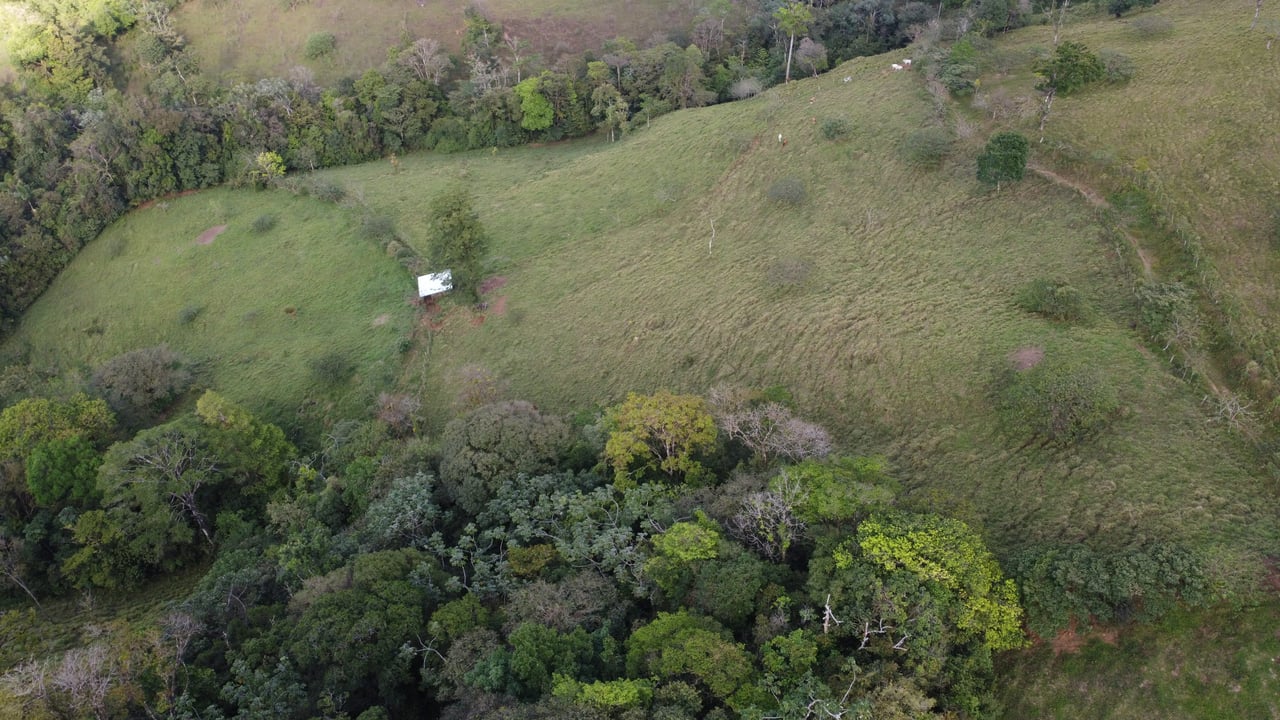 Colina del Tapir | Experience breathtaking views of Lake Nicaragua, with the majestic Concepcion Volcano against the backdrop of Ometepe Island!