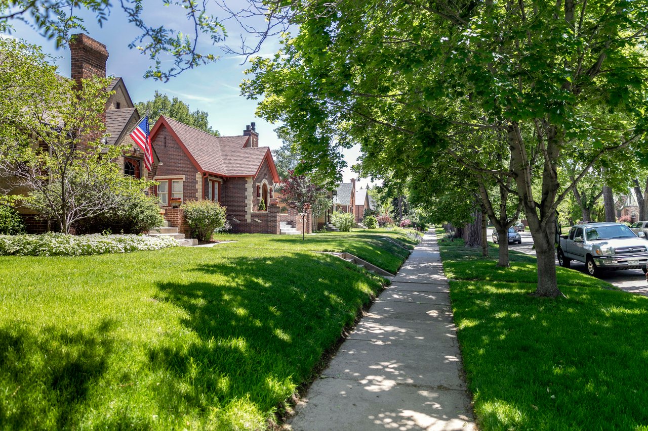 A sidewalk lined with mature trees leading up to a house.