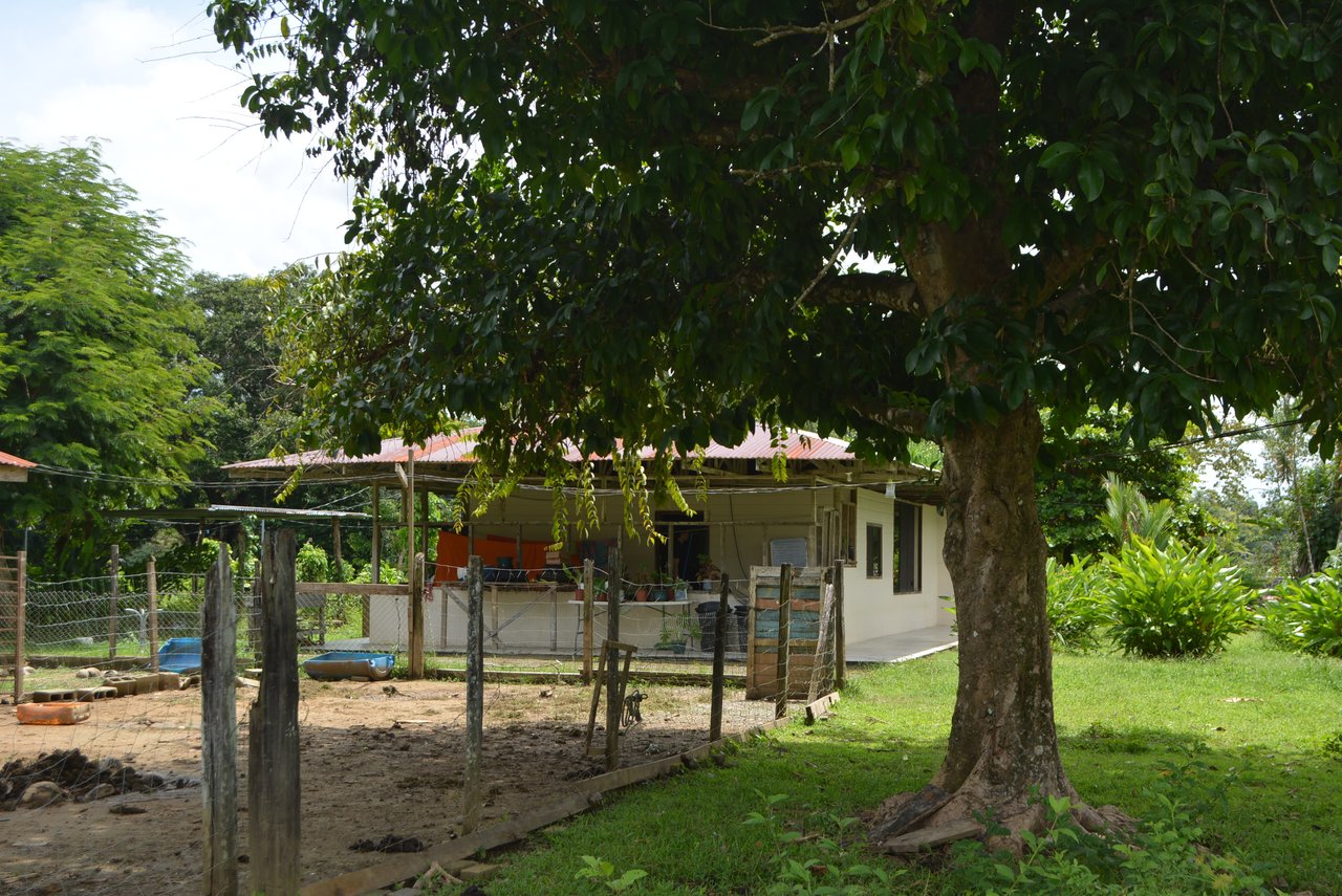 10 Acre Rio Sierpe Paradise Residential And Cabinas