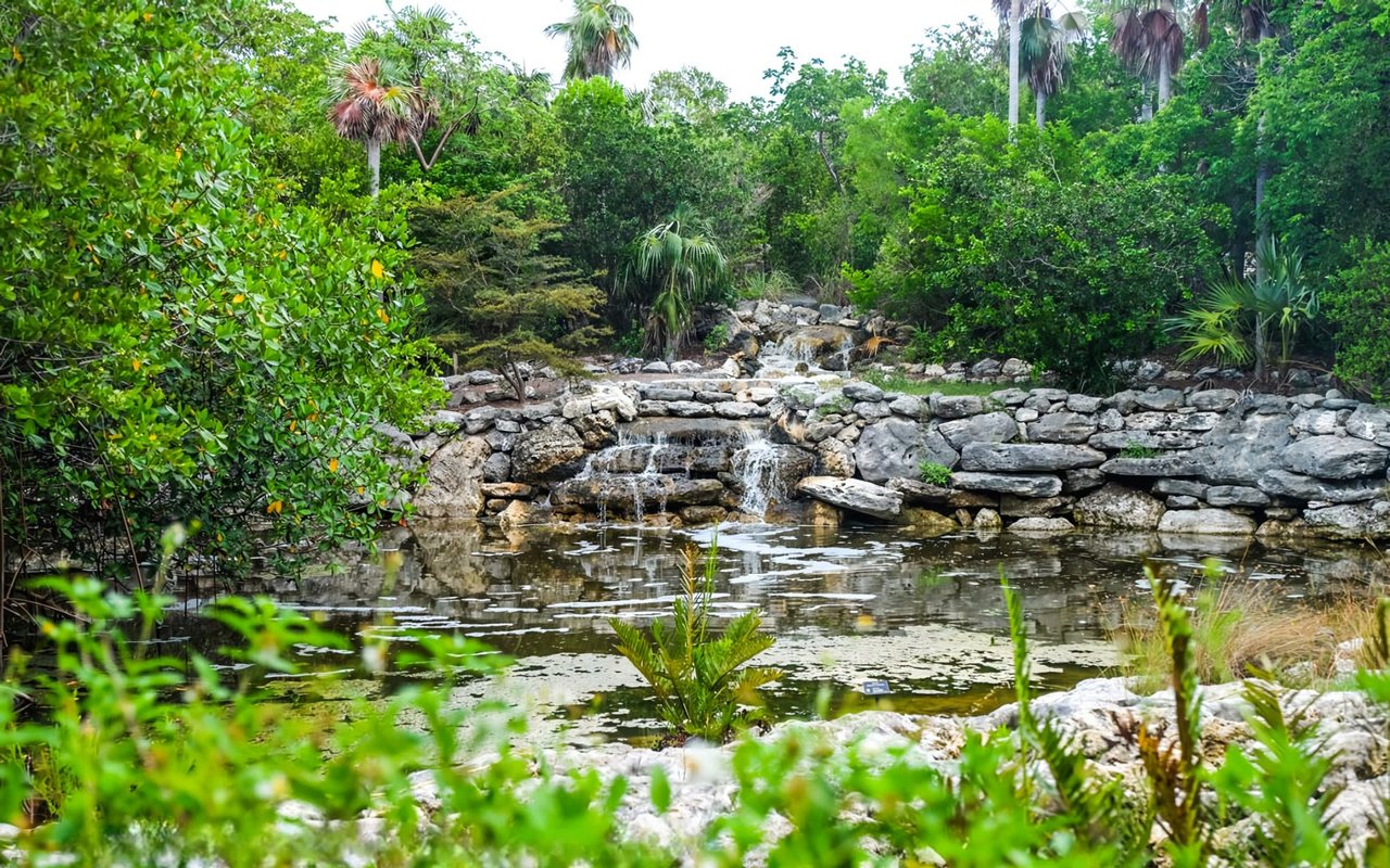  A serene natural landscape features a small pond in the foreground,