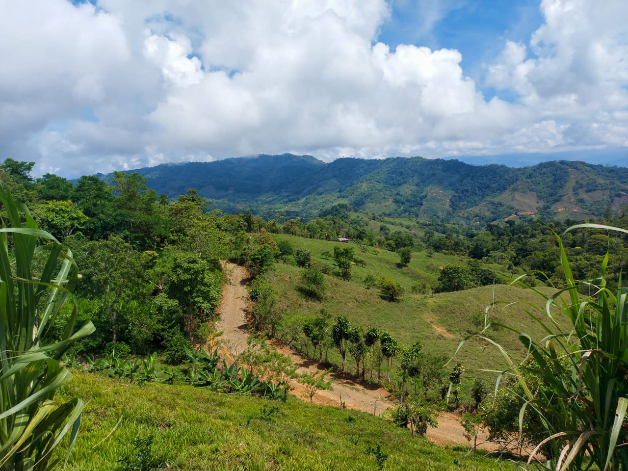 Ocean, Mountain and waterfall View Lot