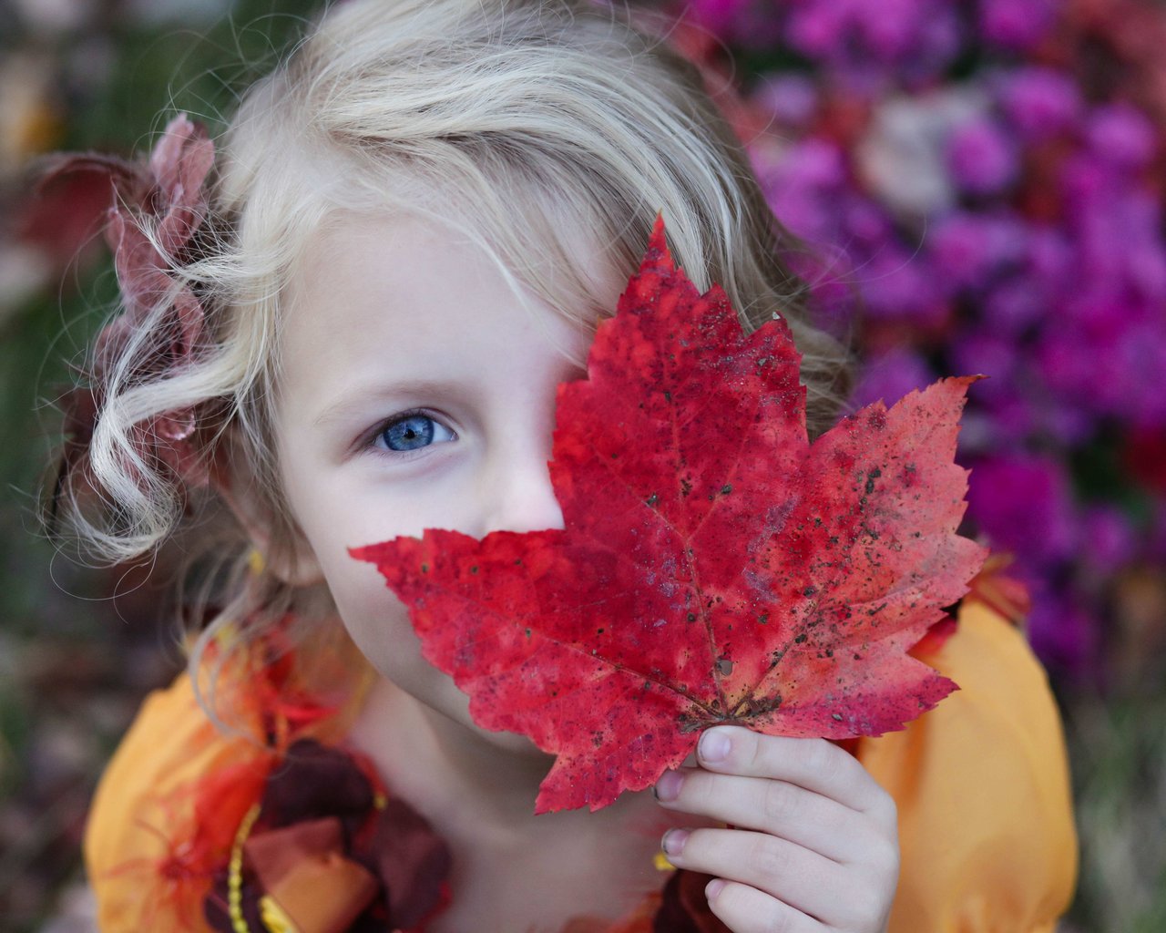 Enjoying Autumn in Chicago’s Suburbs – October 2019 Edition