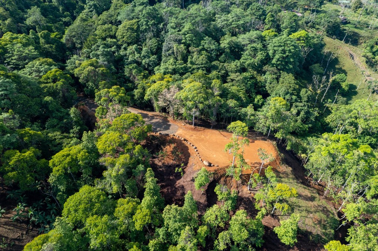 Pristine Jungle Ocean View Farm With Rivers