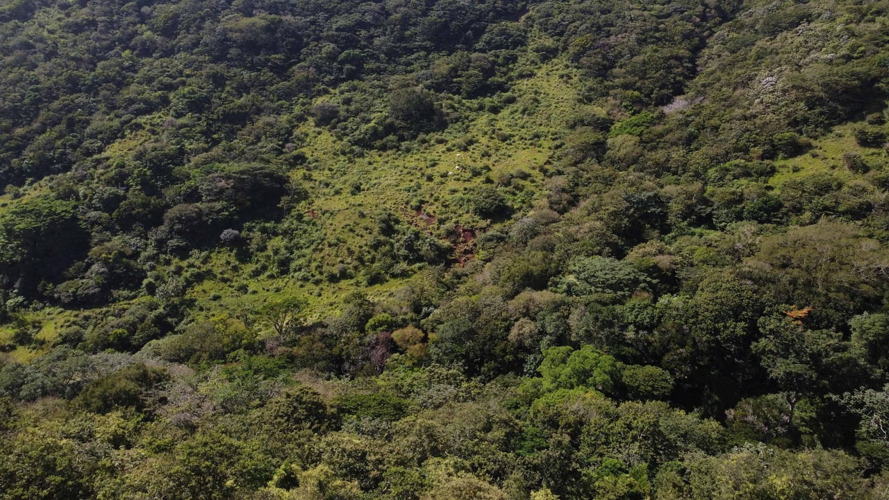 Rio Chiquito Farm | This farm offers an expansive canvas to bring your dreams to life in the majestic Guanacaste mountain rainforest region.