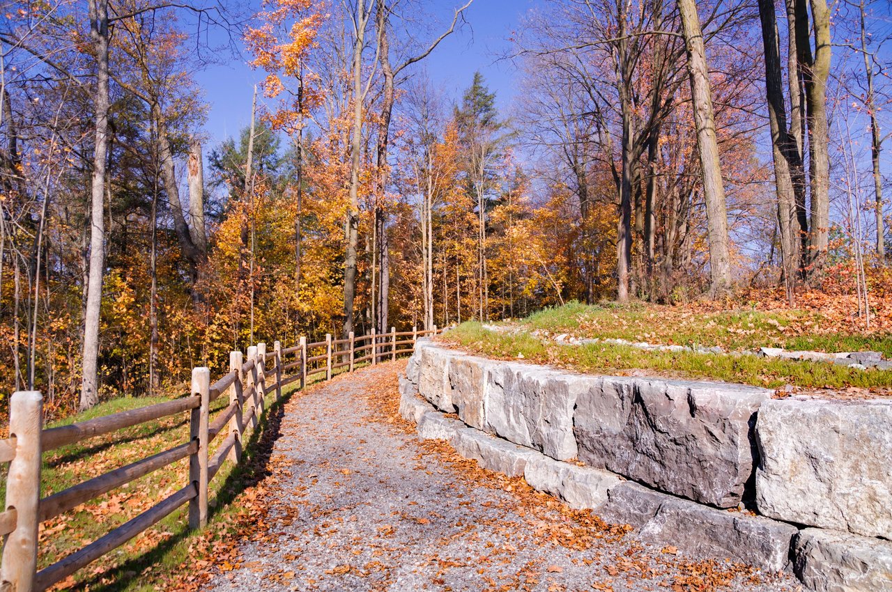 A wooden fence and a stone wall border a dirt path in a forest