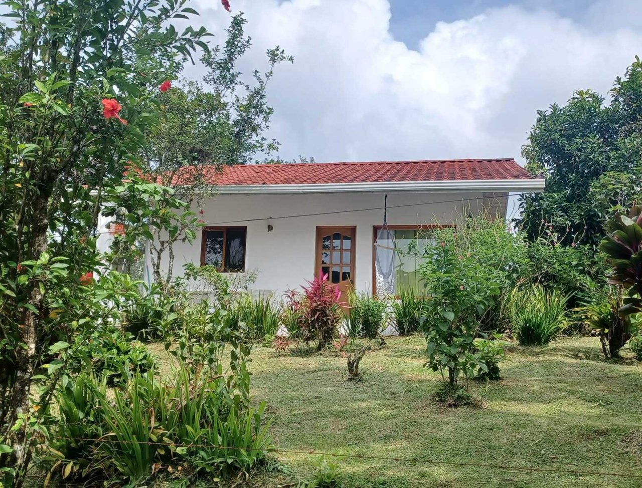 Adventure Tourism Development Land, Lake Arenal, Alajuela