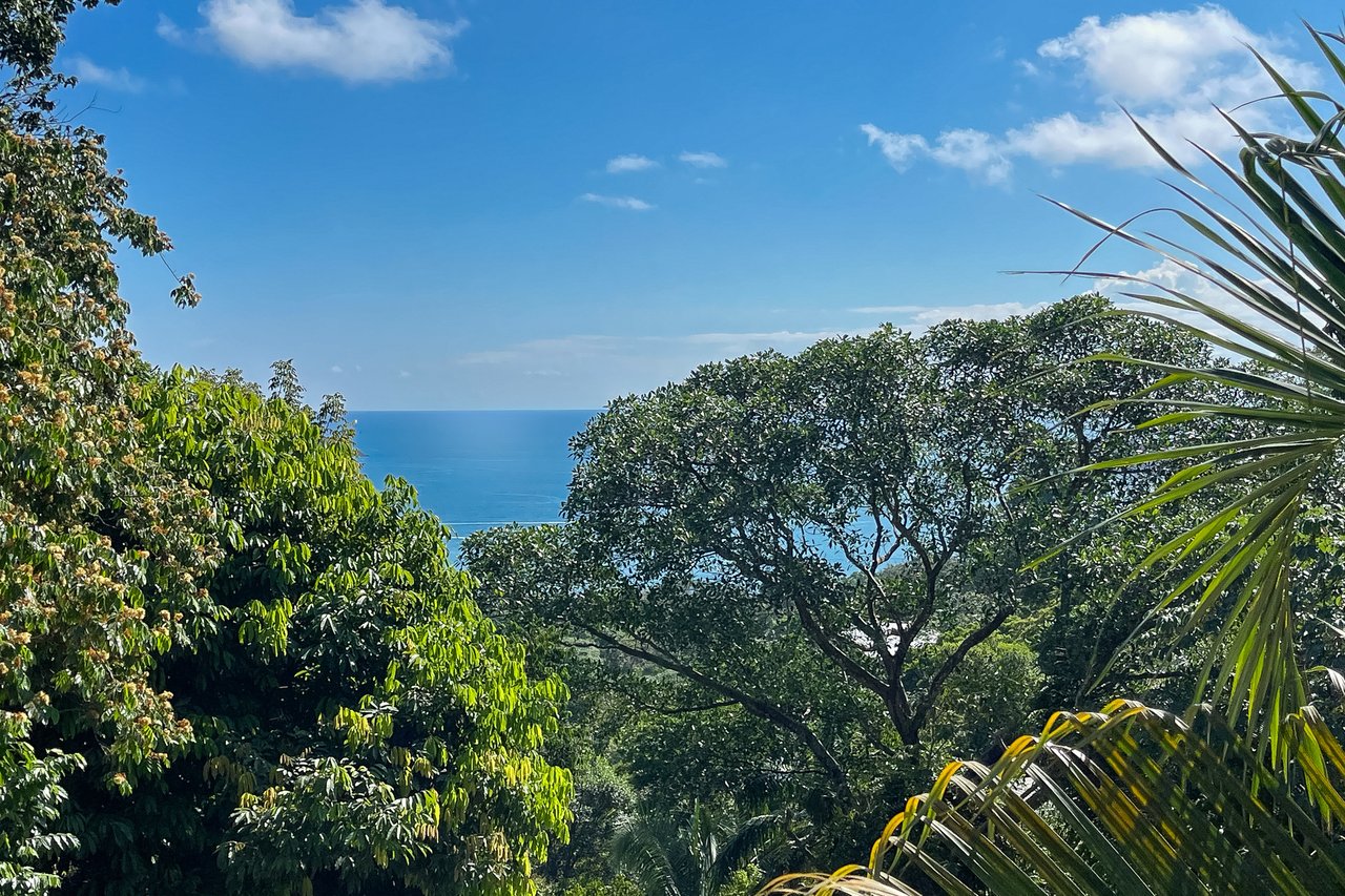 Secluded Jungle Villa Pool, Manuel Antonio, Puntarenas