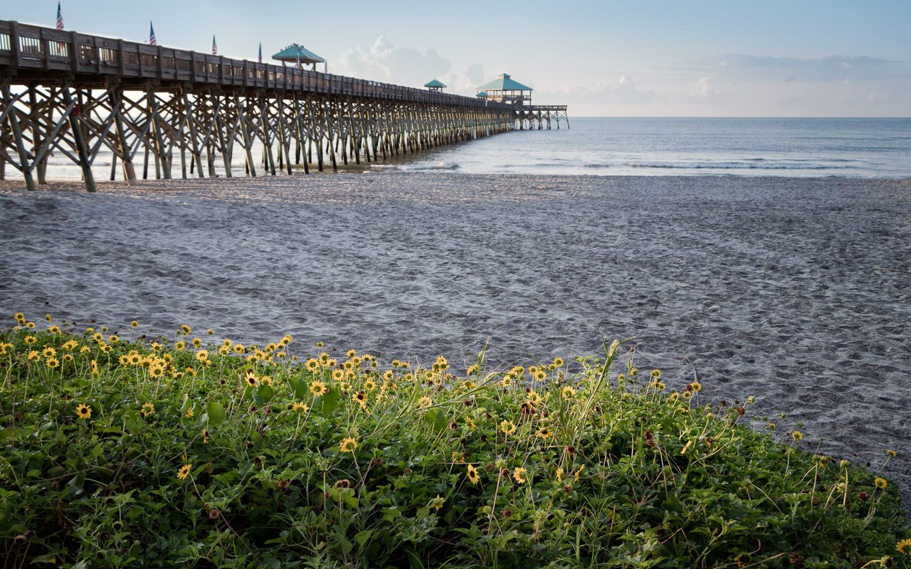 Local Beaches