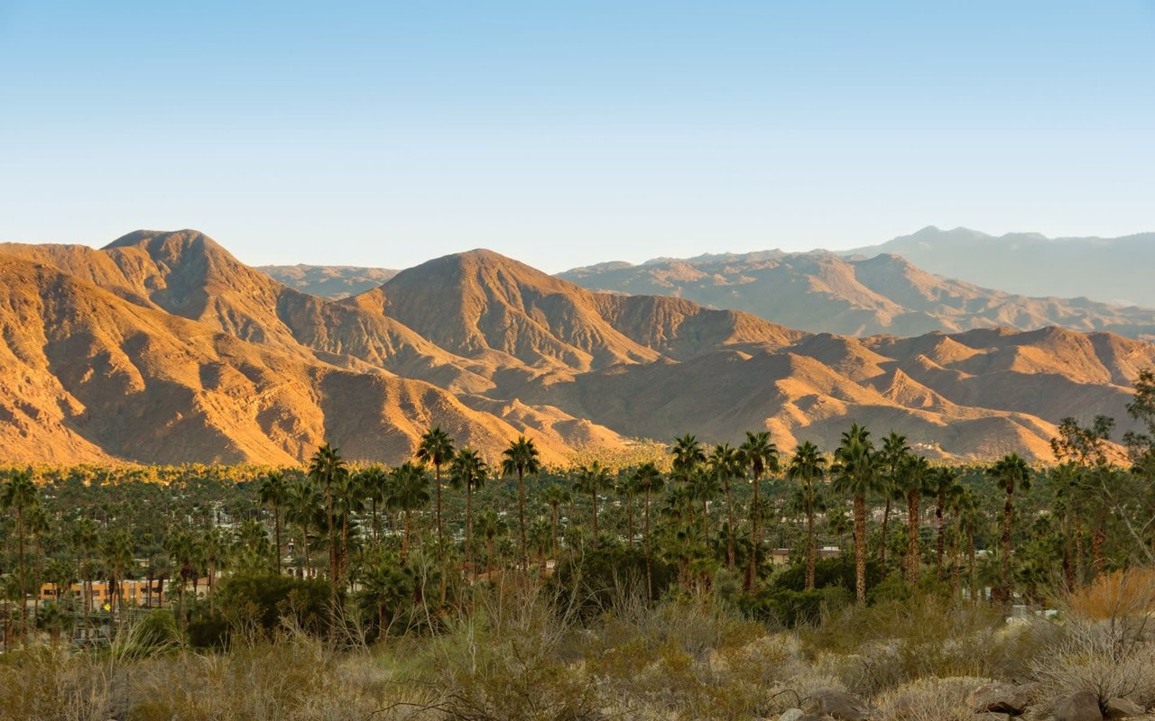 THOUSAND PALMS