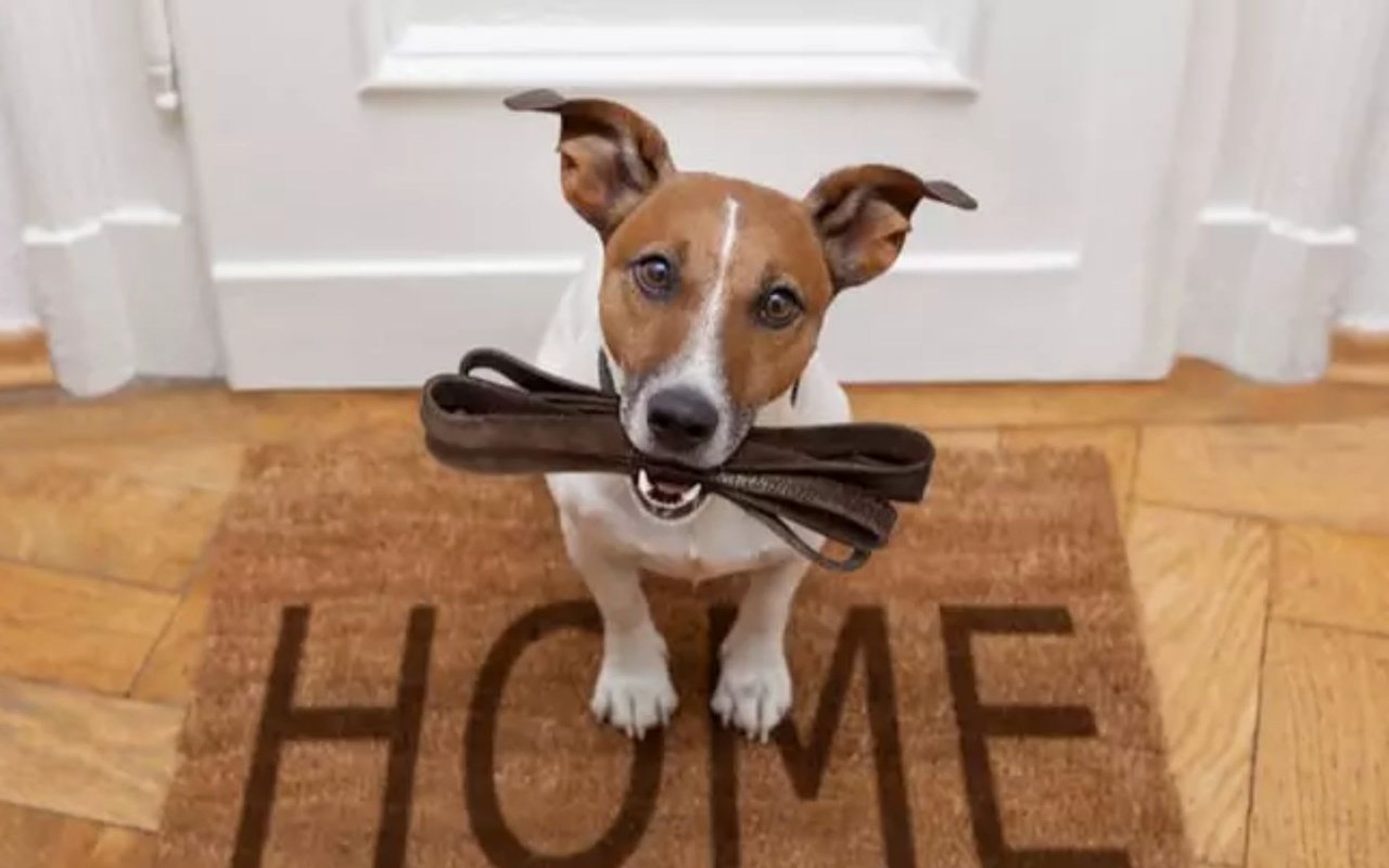 Buying a Home with Pets