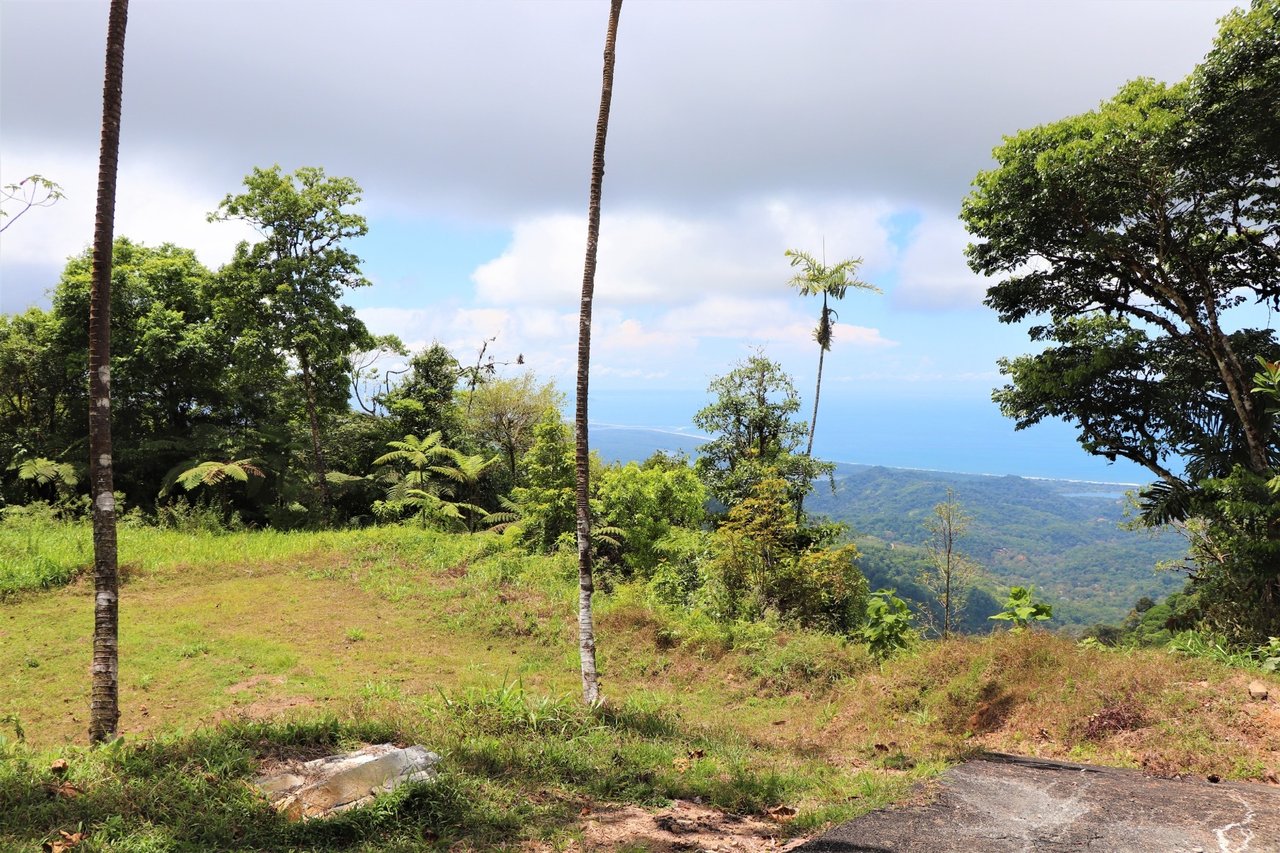 Large Development Farm, Ojochal, Puntarenas