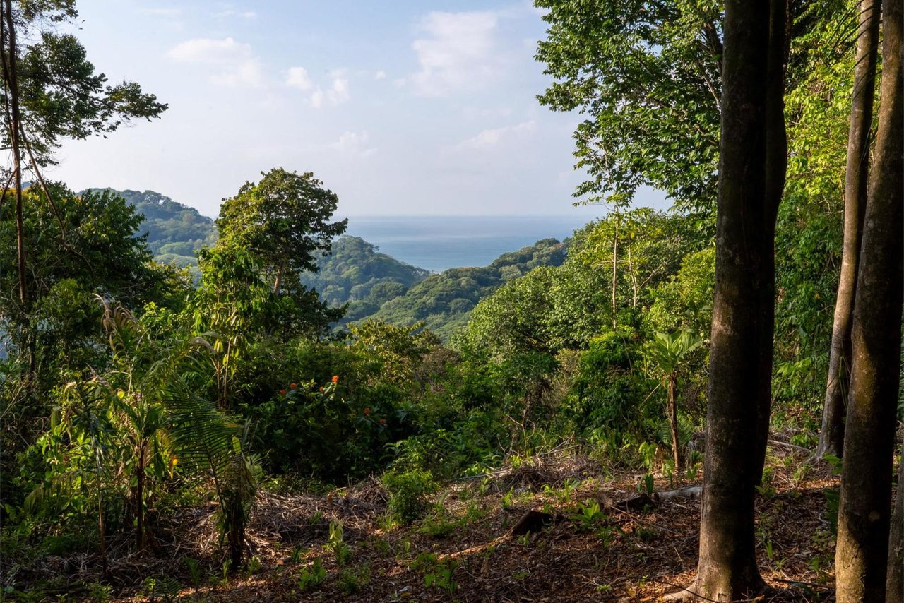 Private Ocean View Development Lot, Dominical, Puntarenas