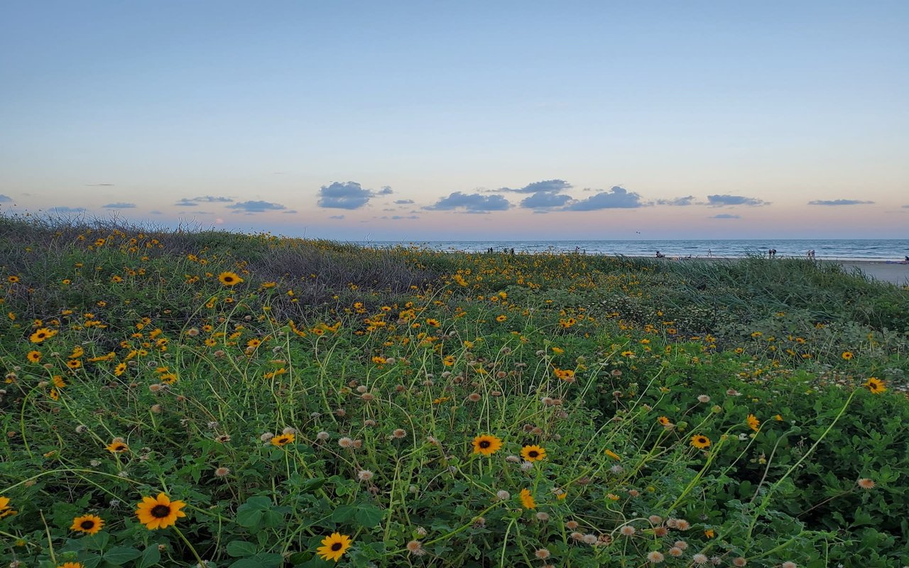 GALVESTON