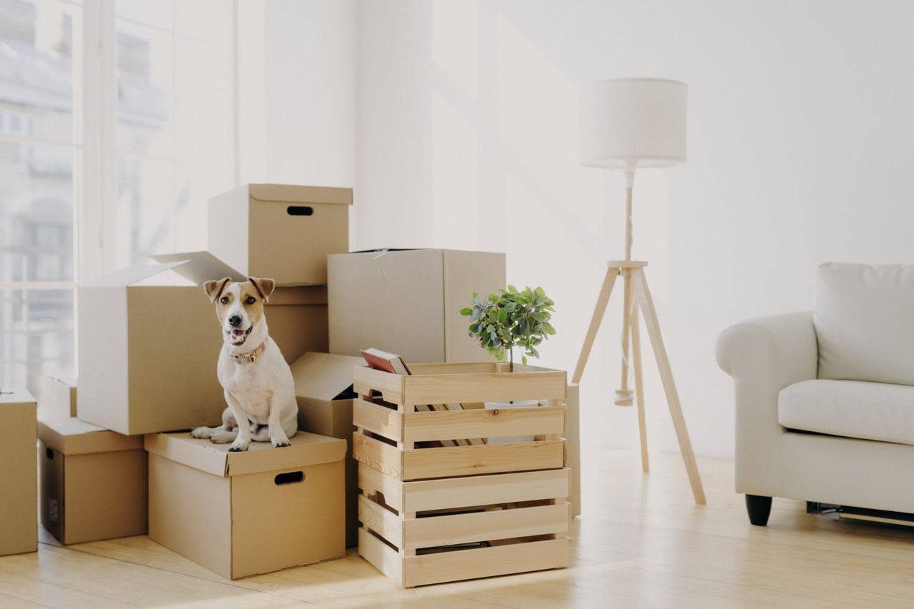 6 tips for a seamless moving day