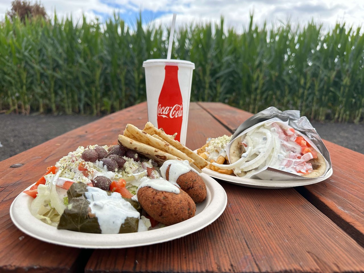 Petaluma Pumpkin Patch and Amazing Corn Maze