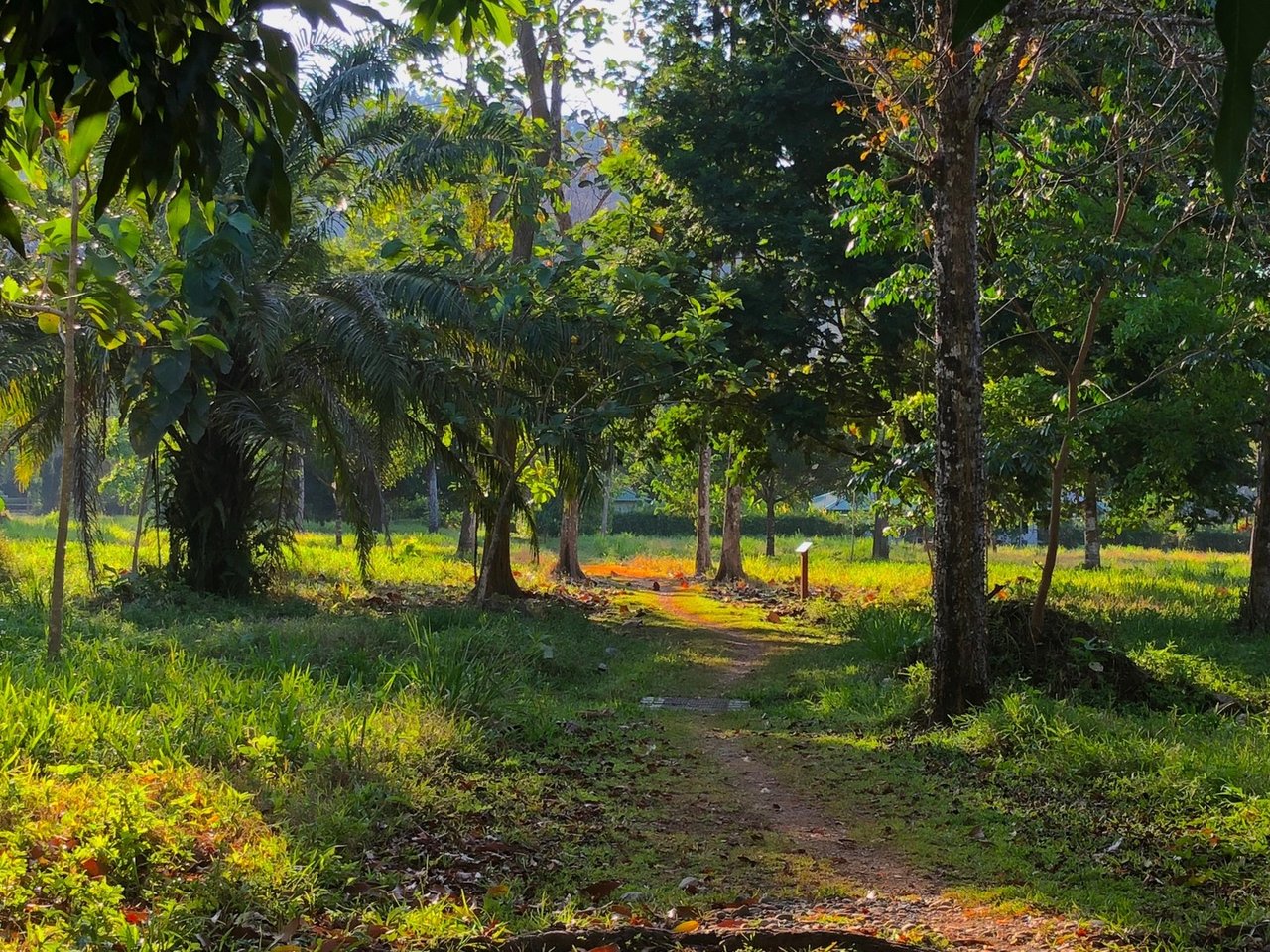 Coastal Development Land, Dominical, Puntarenas