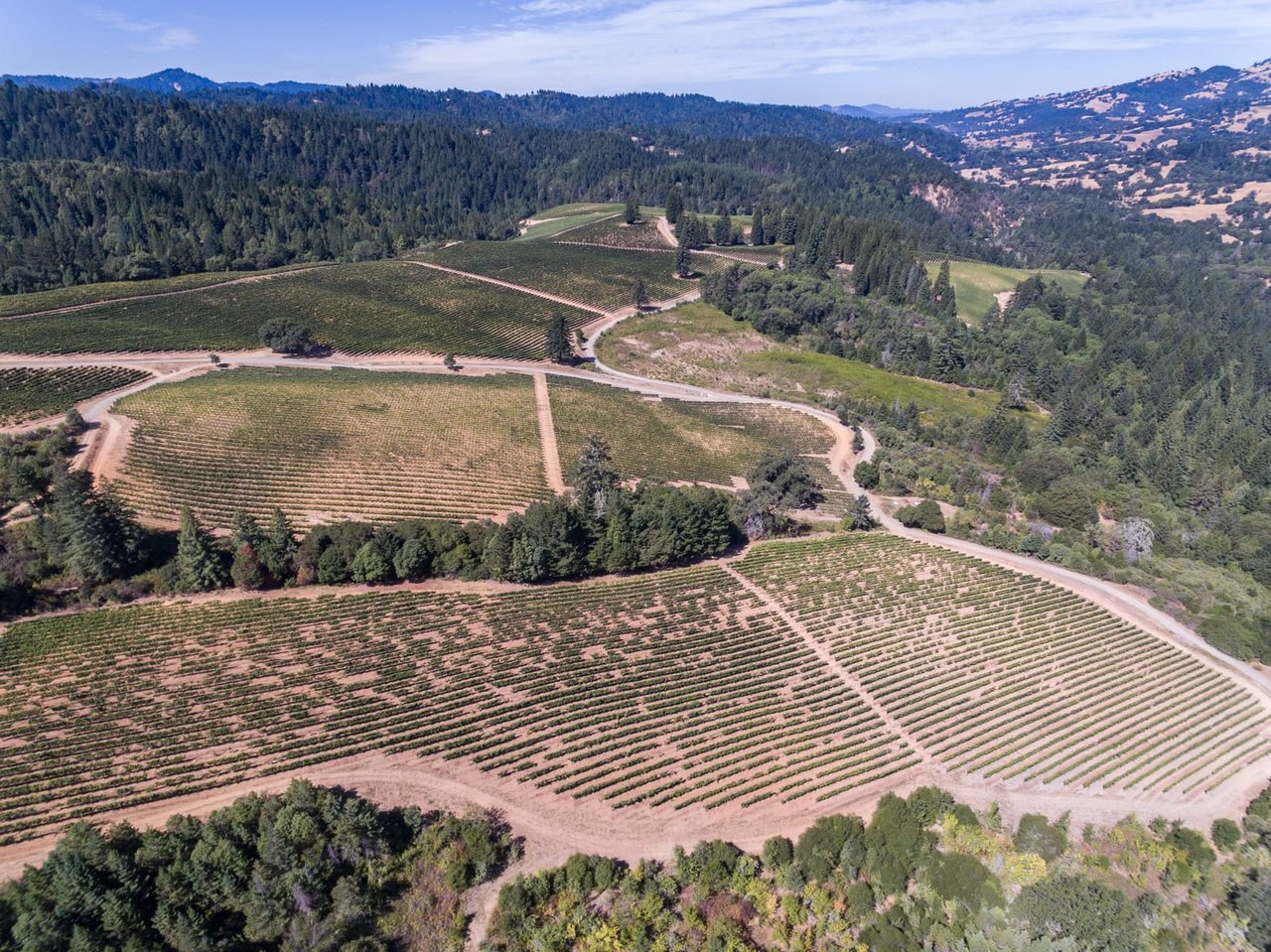 Yorkville Highlands Hillside Vineyard