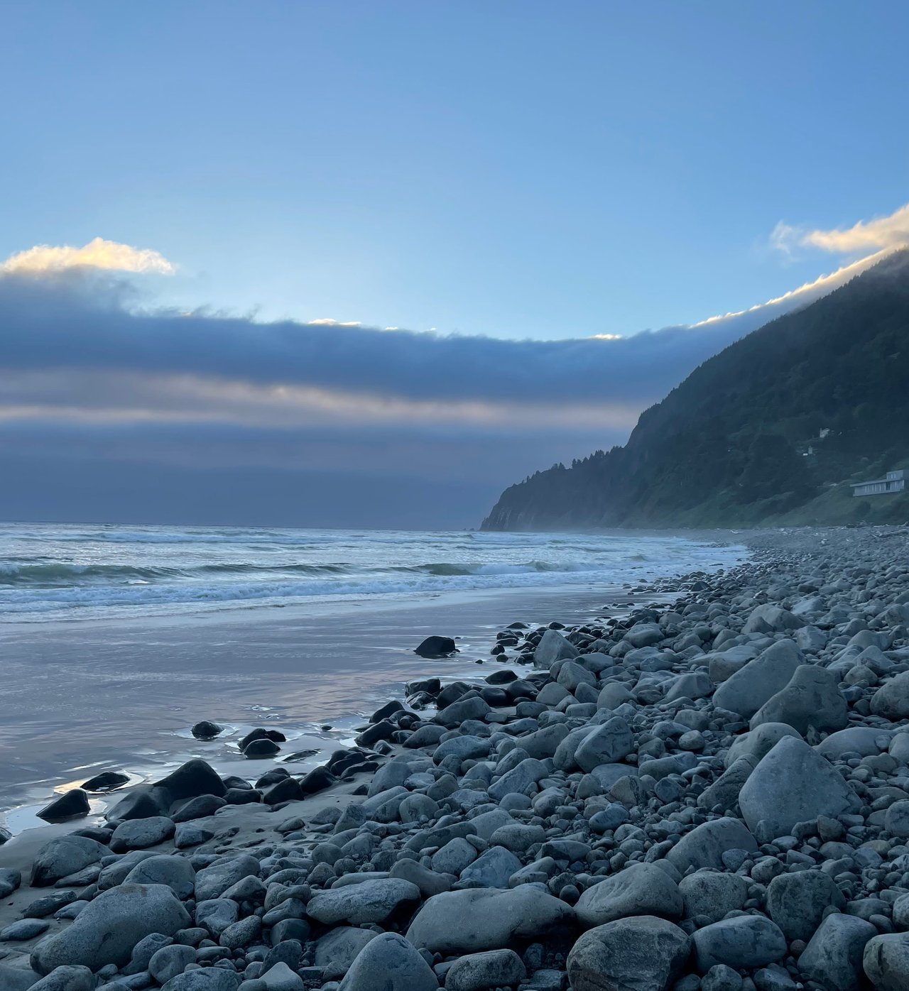 Coastal Spotlight: Manzanita