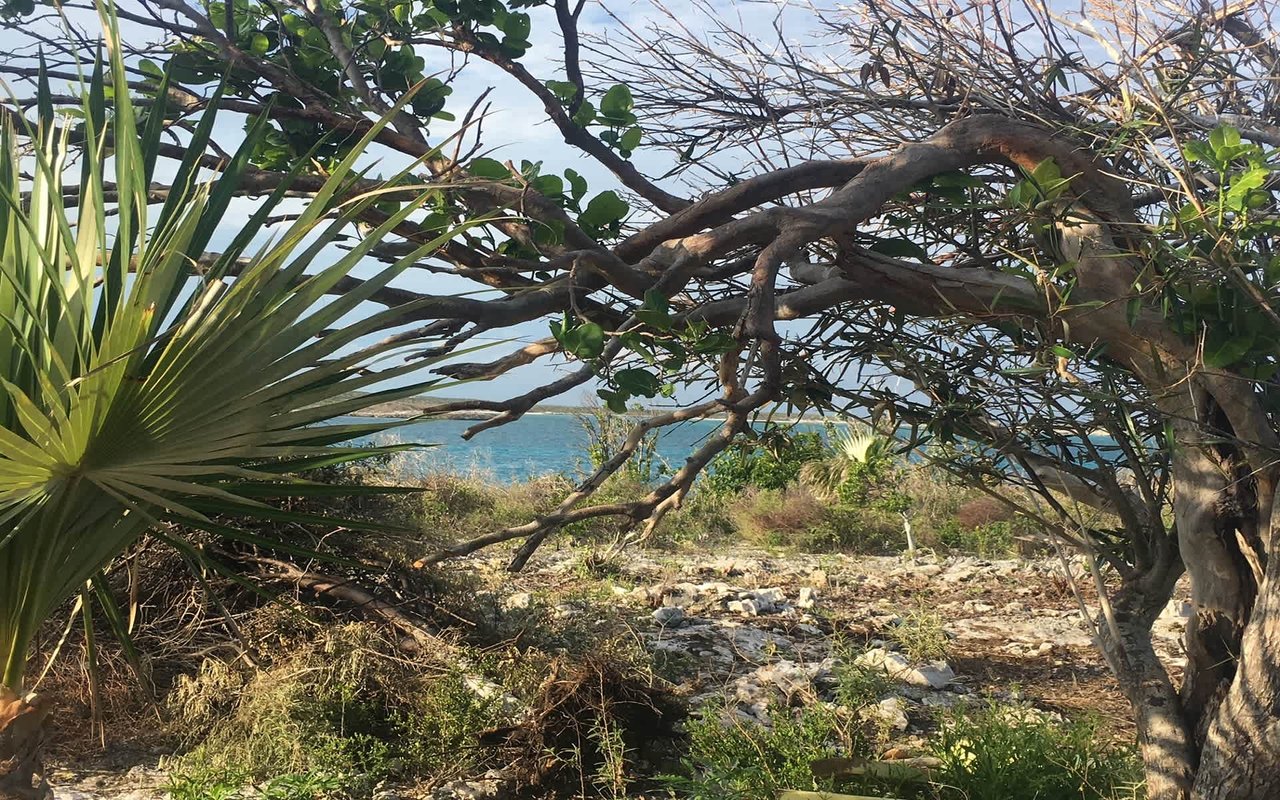 Ben's Cay Private Island