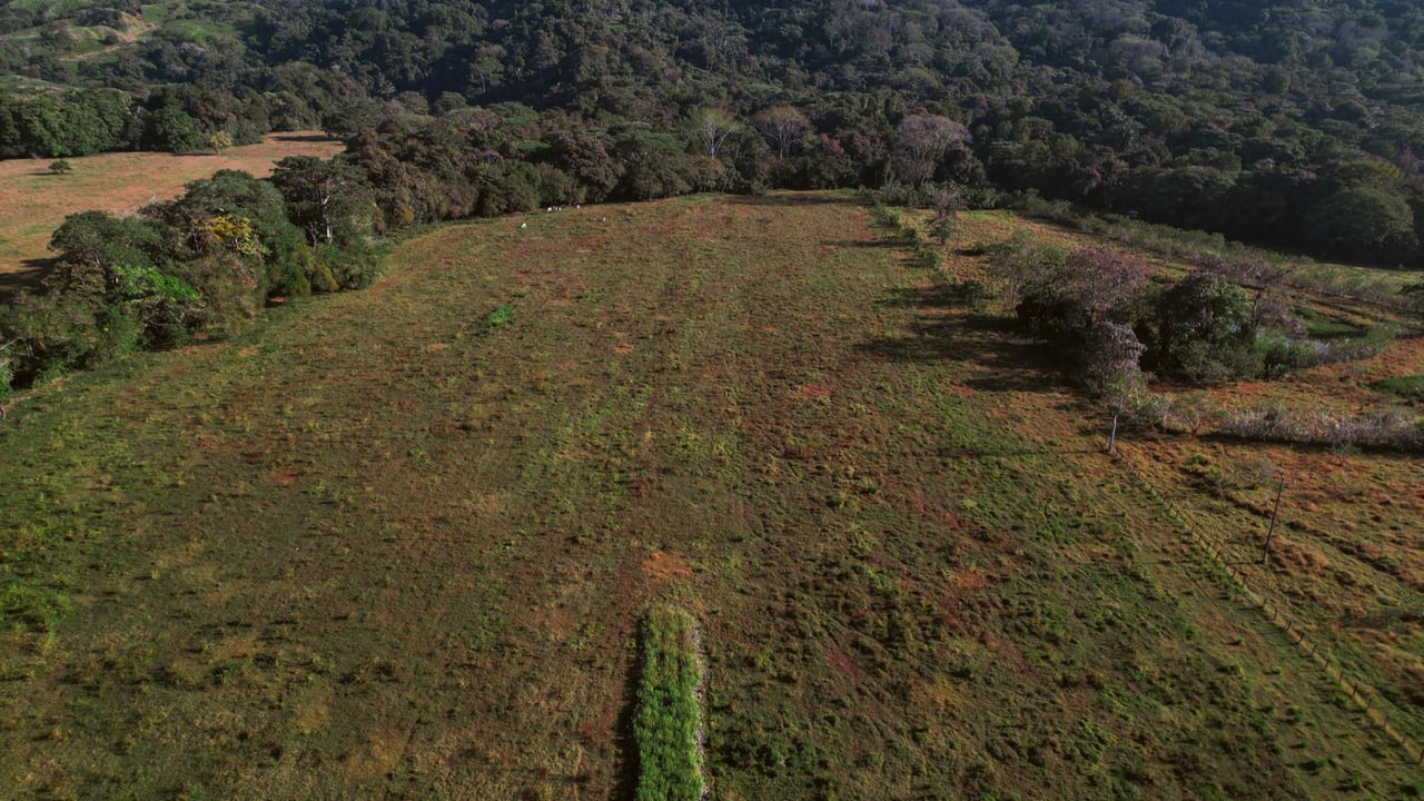Highway Frontage Commercial Land, Manuel Antonio, Puntarenas
