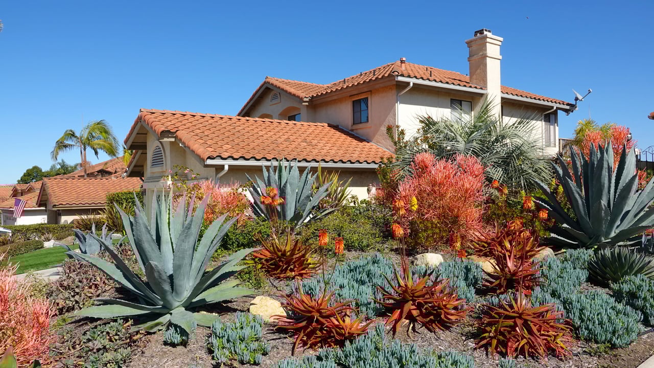 Designing Your Dream Landscape: Choosing the Right Plants for Southern California