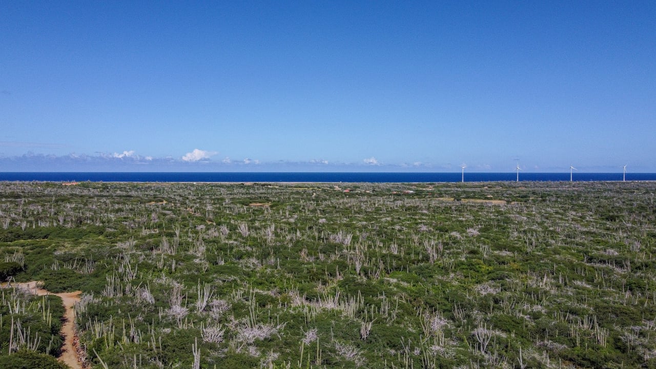 Property land Bonaire