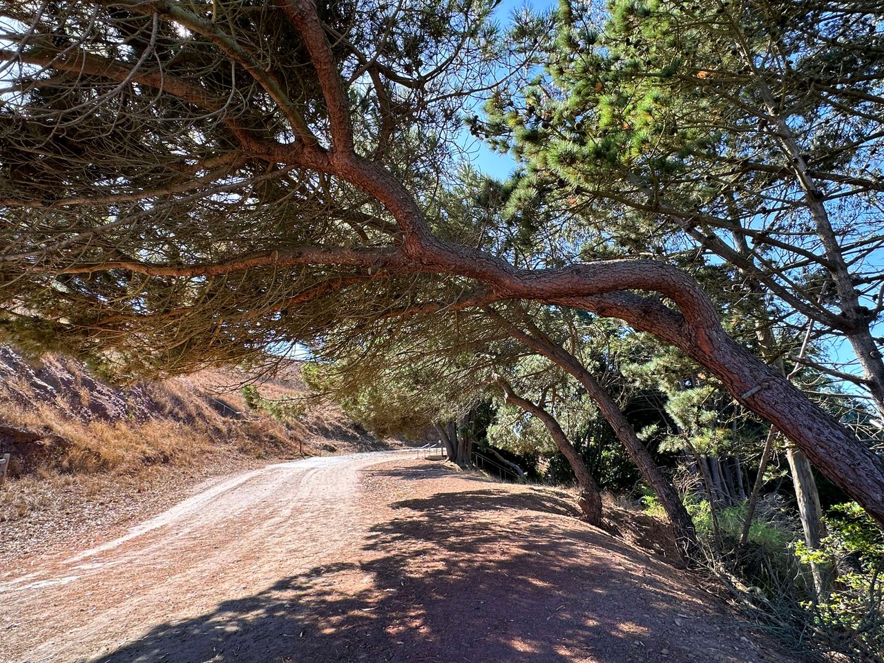 Bernal Heights