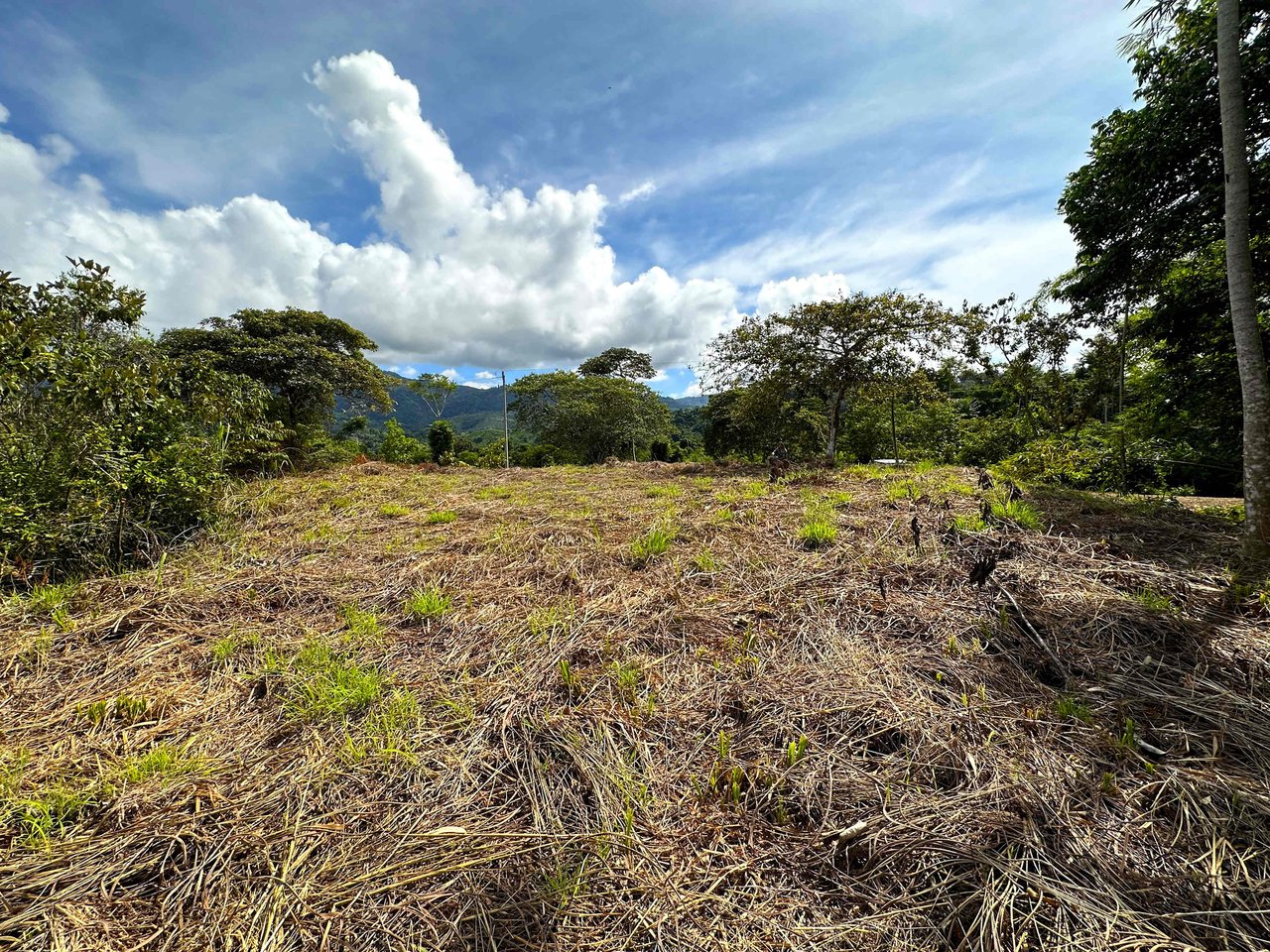2 Acres Property with 360 Panoramic Views!