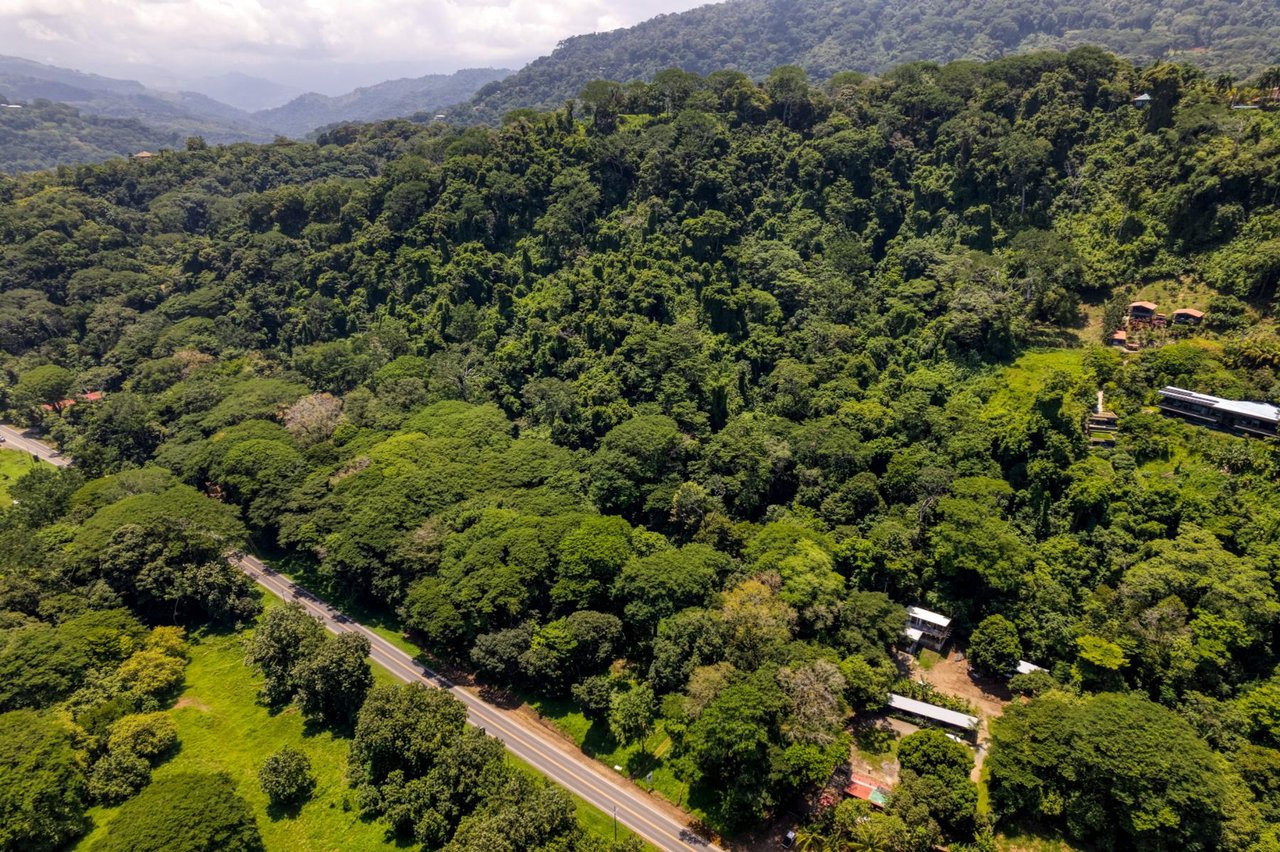 Titled Development Land, Dominical, Puntarenas