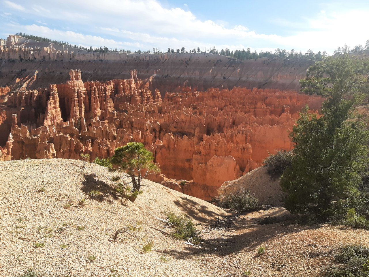 National Parks Trip with Ella and Herc