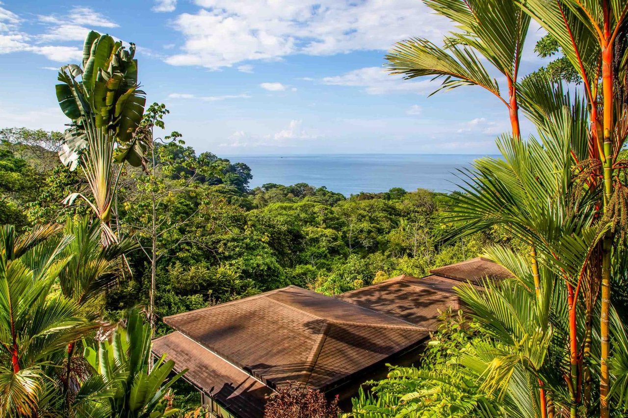 Profitable Boutique Hotel With Room for Expansion Tiki Villas Rainforest Lodge and Spa