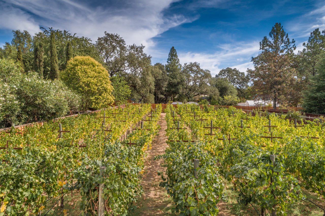 Los Palos Street, Sonoma