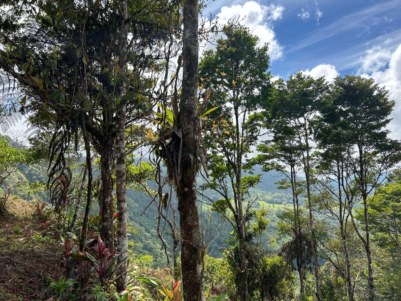 Whale Tail, Ocean & Mountain View lot in San Luis.