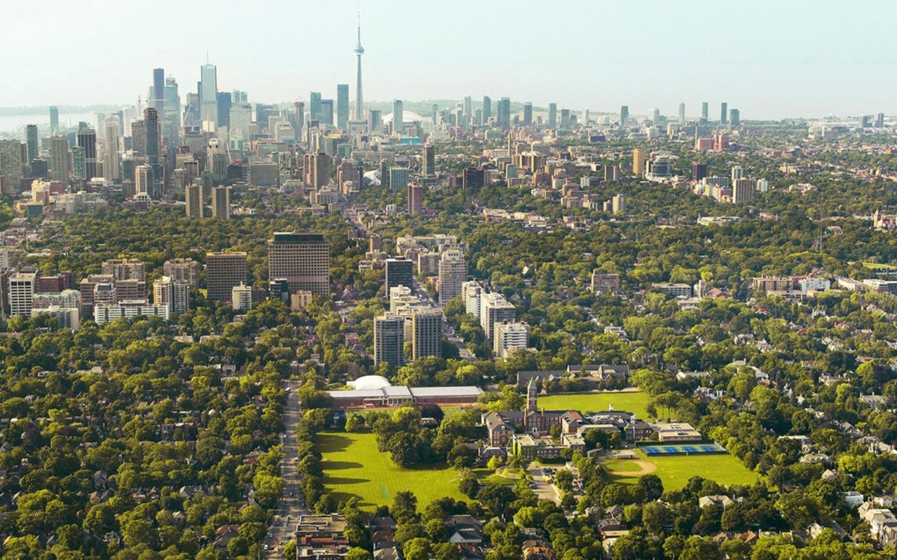 Forest Hill