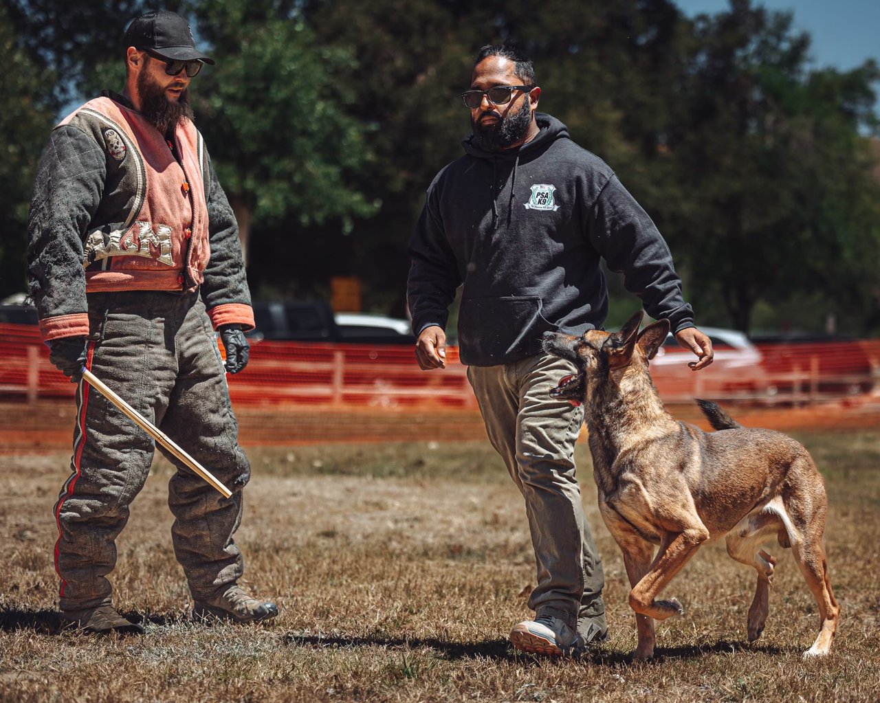 Dog Training with Golden State Canine