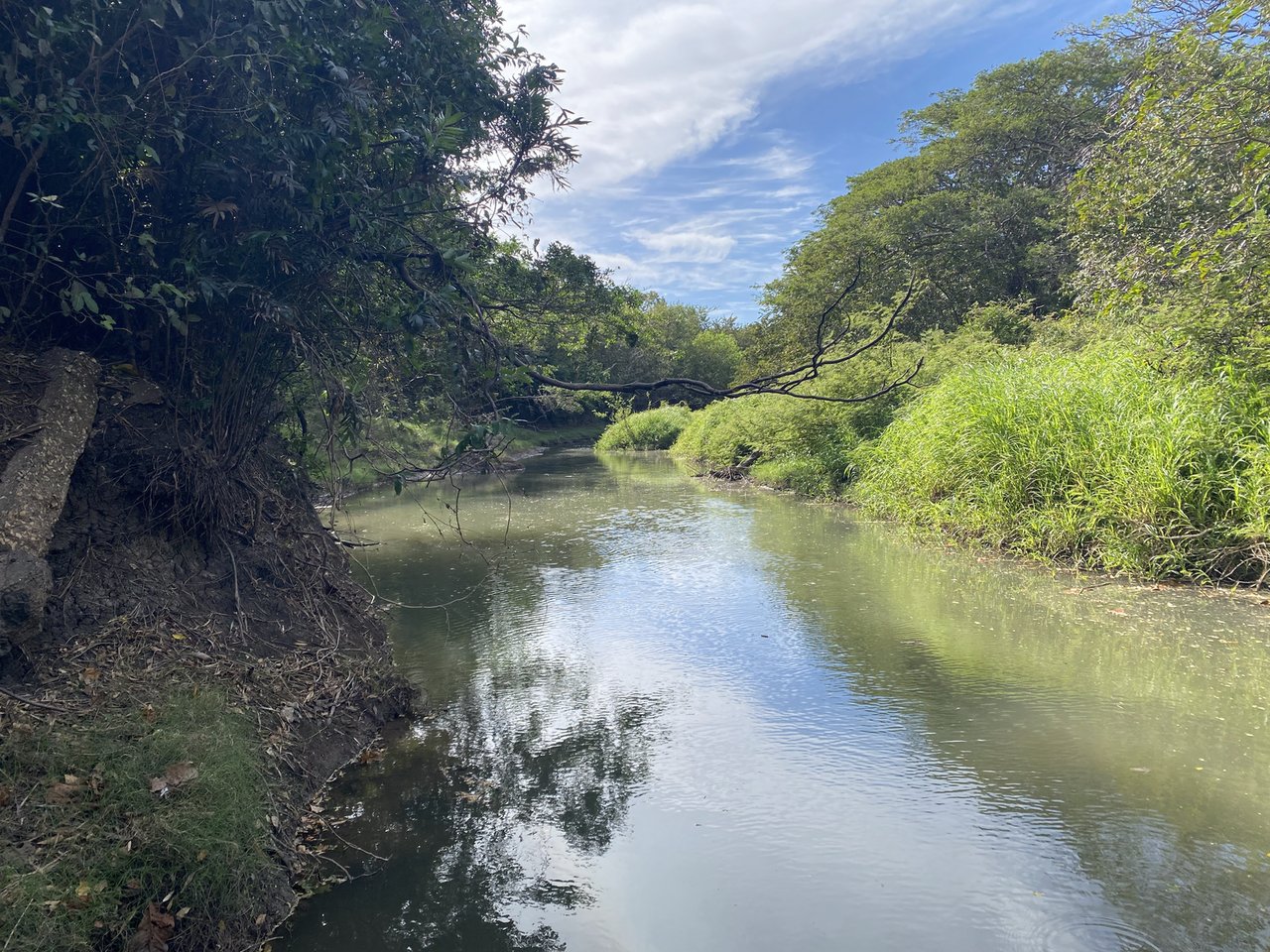 Strategic Cattle Ranch Development, Tamarindo, Guanacaste