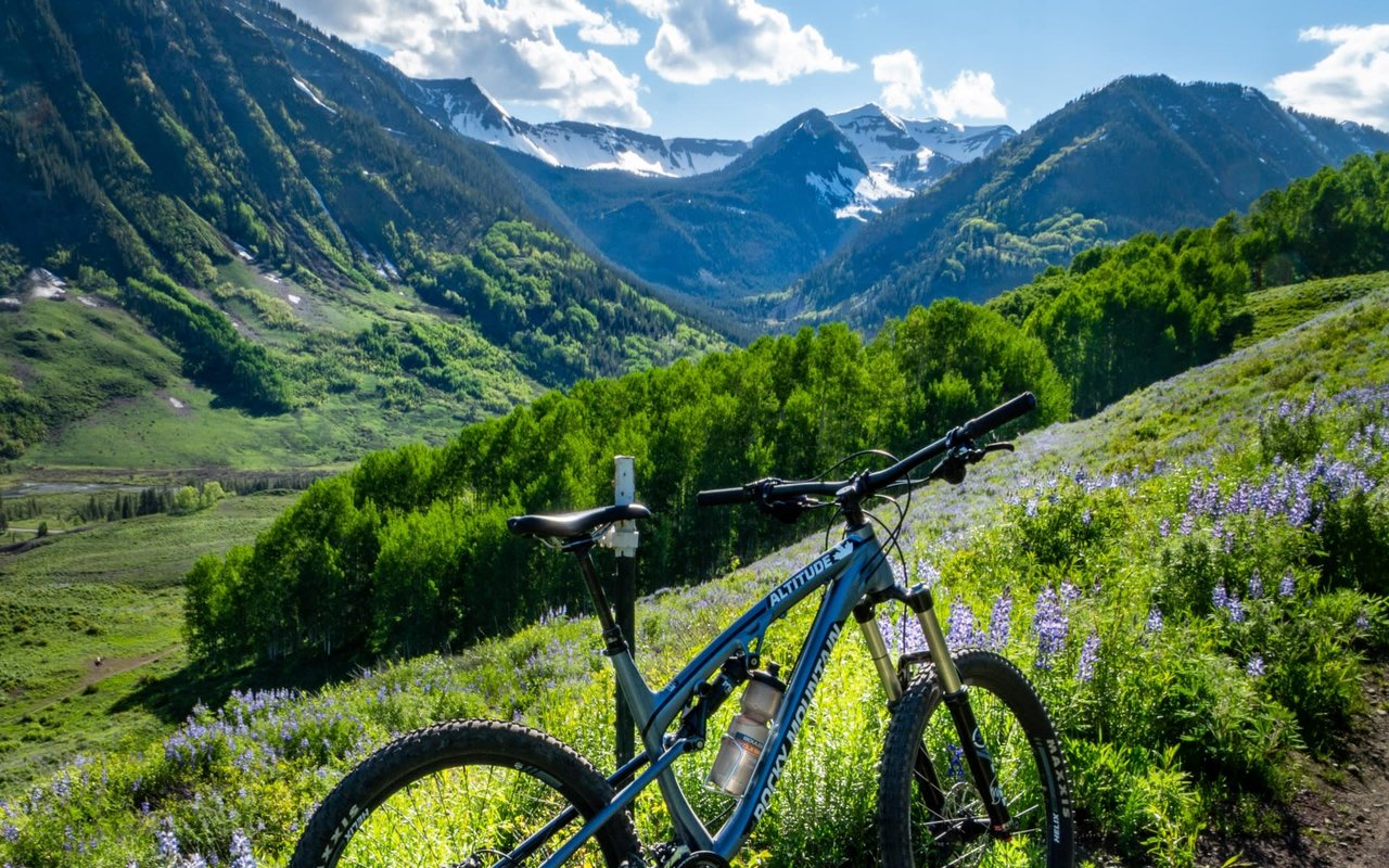 Dirt and Mountain Biking