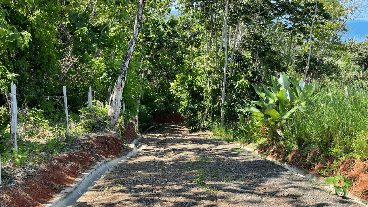 Front Ridge Land with Epic Ocean and Whale Tail Views