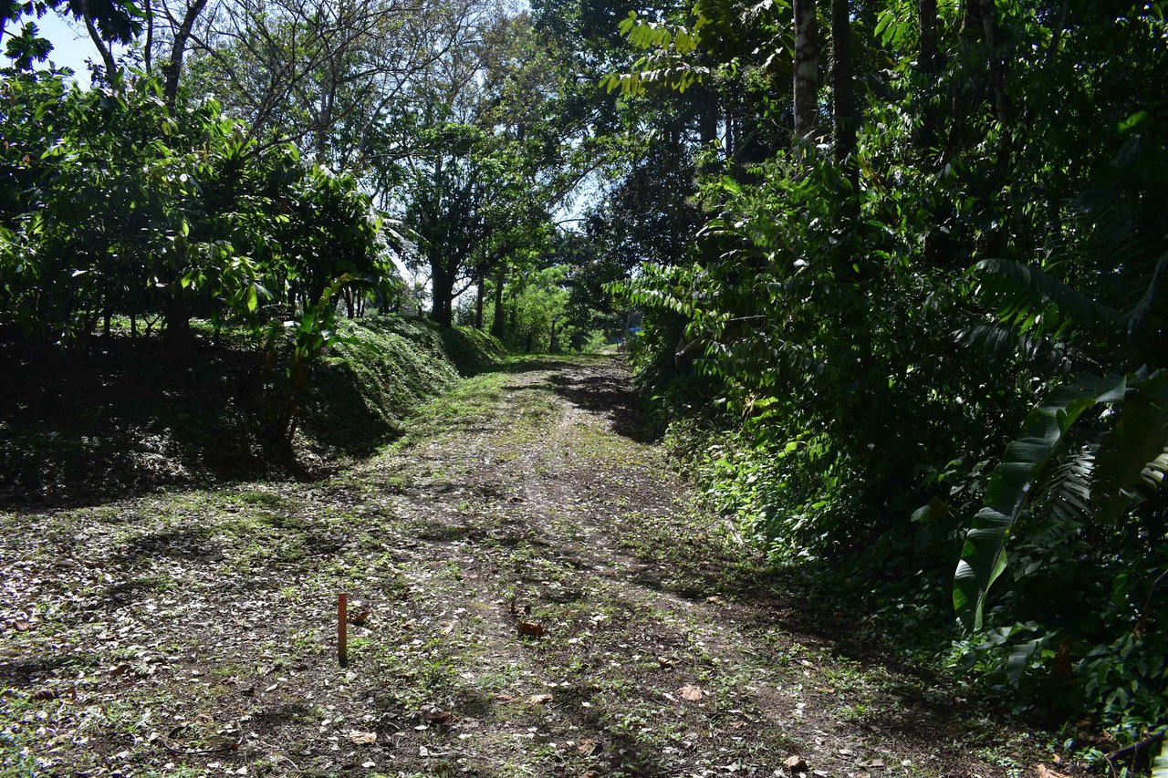 Finca La Paz | Scenic Property in Santo Domingo de Bijagua For Sale!