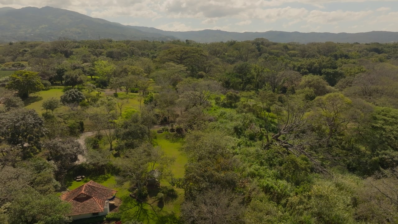 Prime Development Land for Sale La Guacima, Guacima, Alajuela