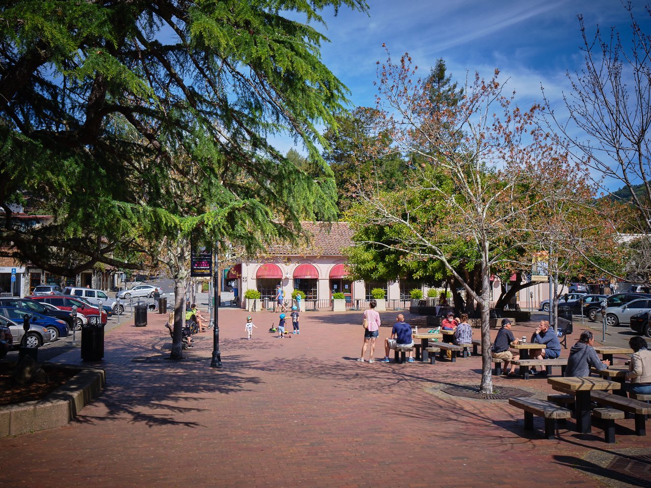 Exploring the Charms of Downtown Mill Valley: A Perfect Saturday Itinerary