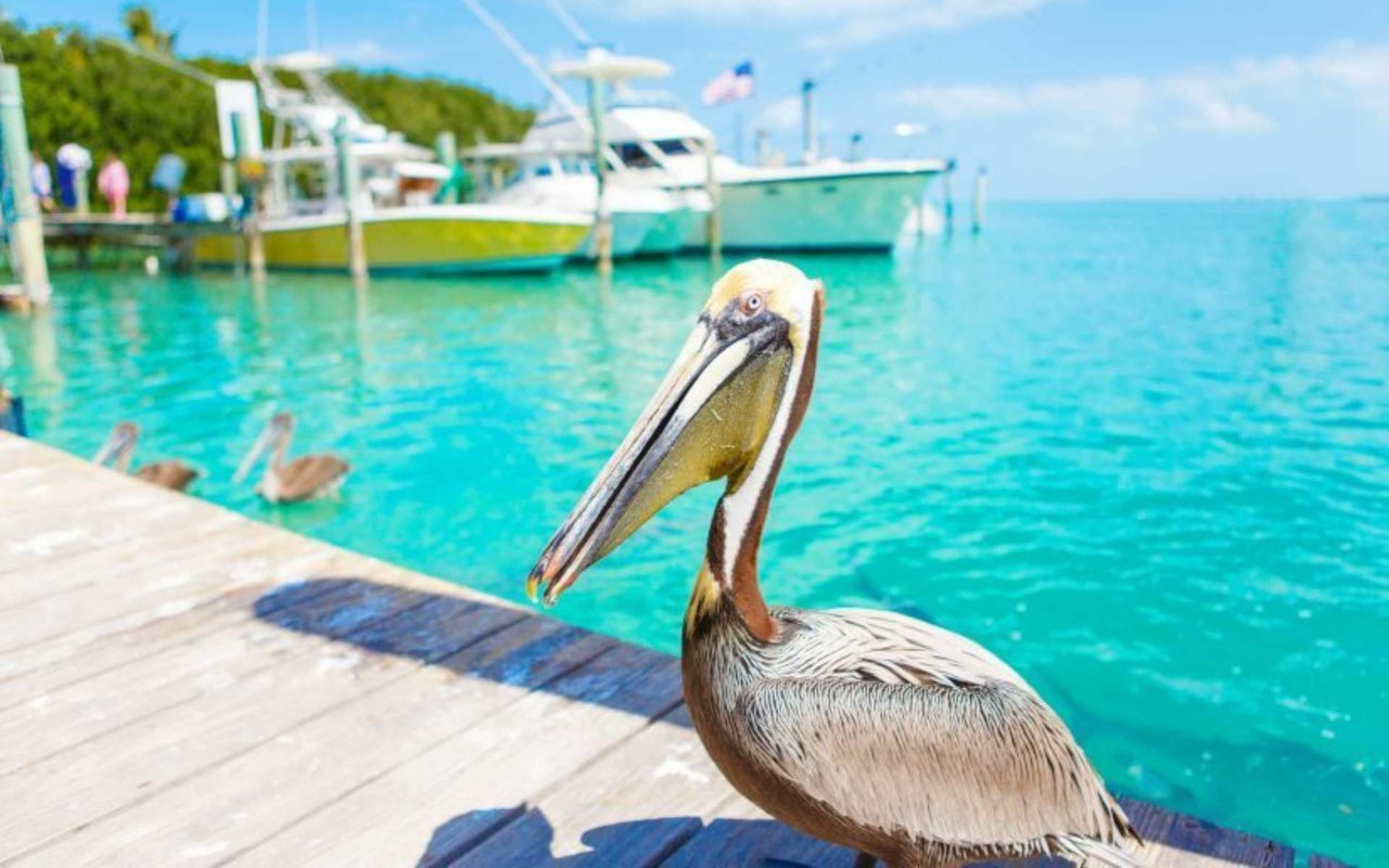 Bird Key, Florida | A Boater's Paradise