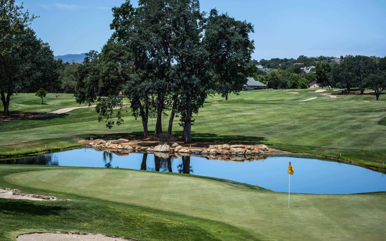Golf course putting green beside a pond, with mature trees and sand bunkers in the distance.
