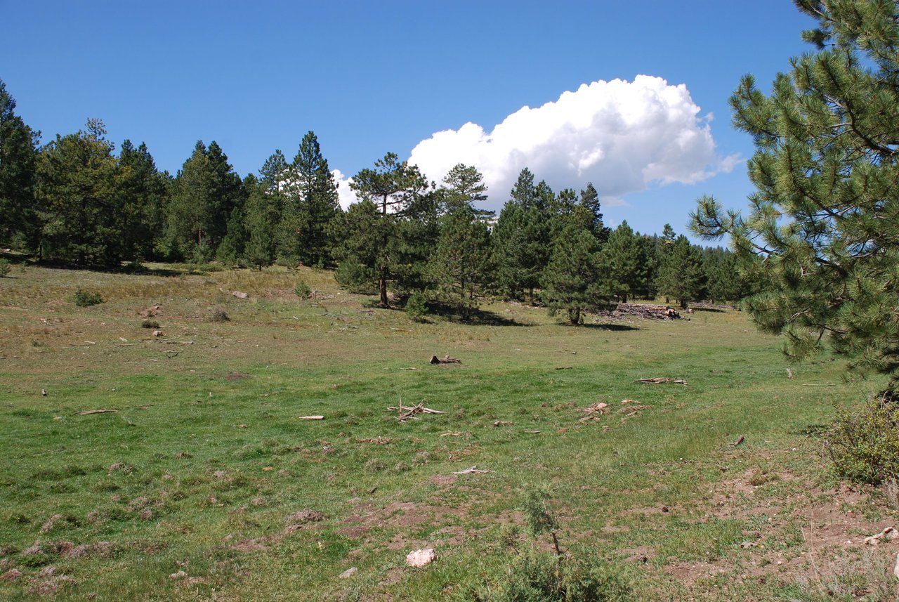 Elk Mountain Ranch