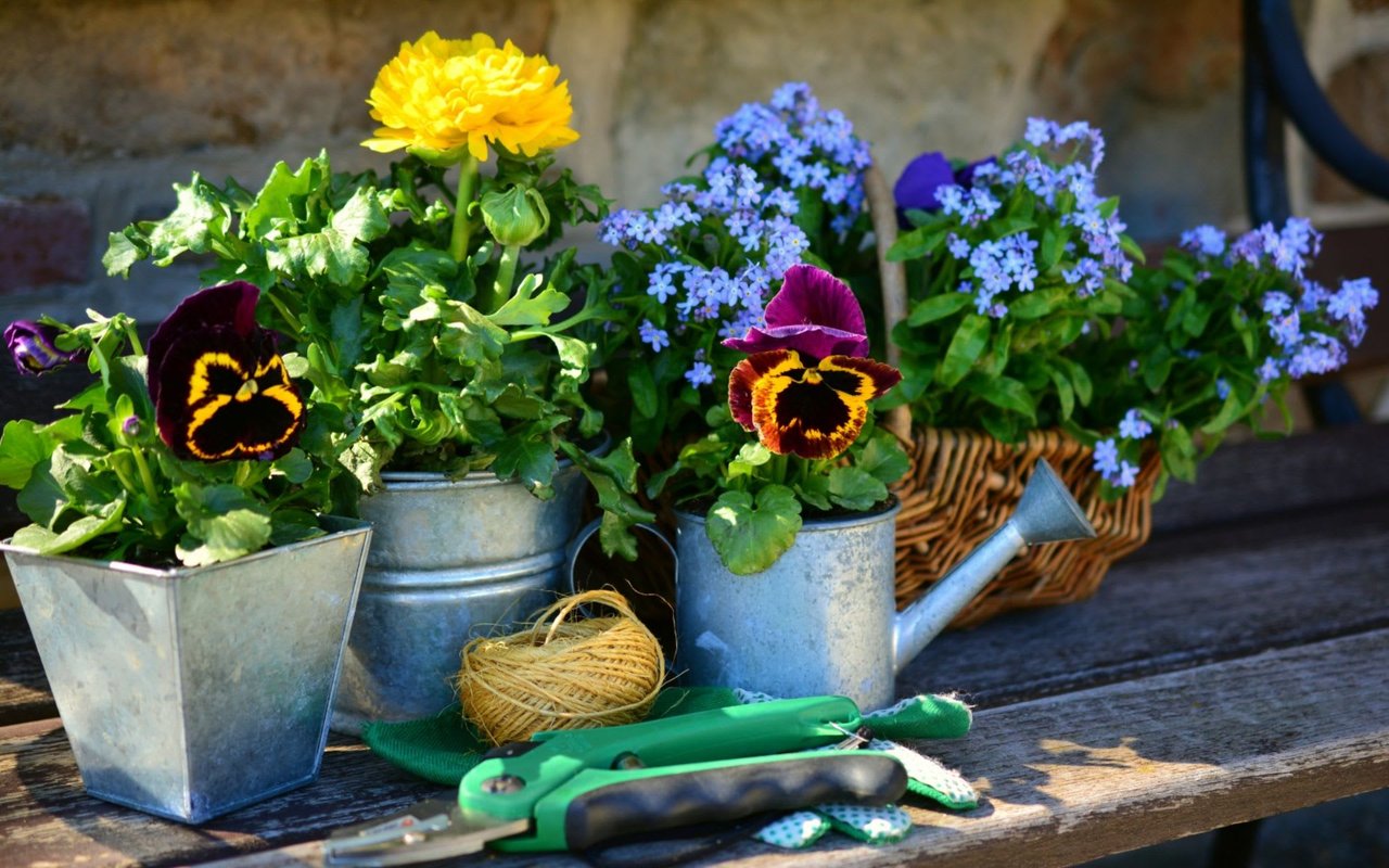 Be the Envy of Your Neighbors with This Spring Garden Checklist
